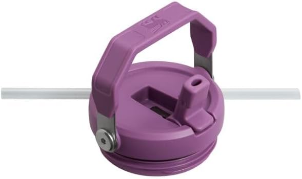Stanley IceFlow Flip Straw Tumbler with Handle 30 oz | Twist 30 Ounces, Lilac
