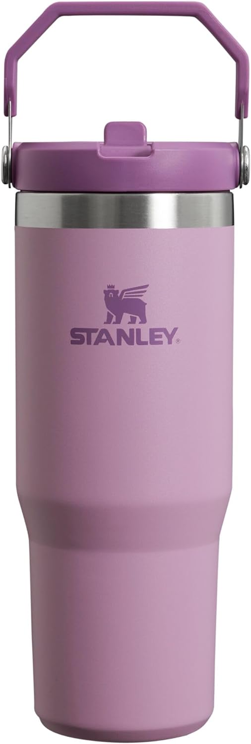 Stanley IceFlow Flip Straw Tumbler with Handle 30 oz | Twist 30 Ounces, Lilac