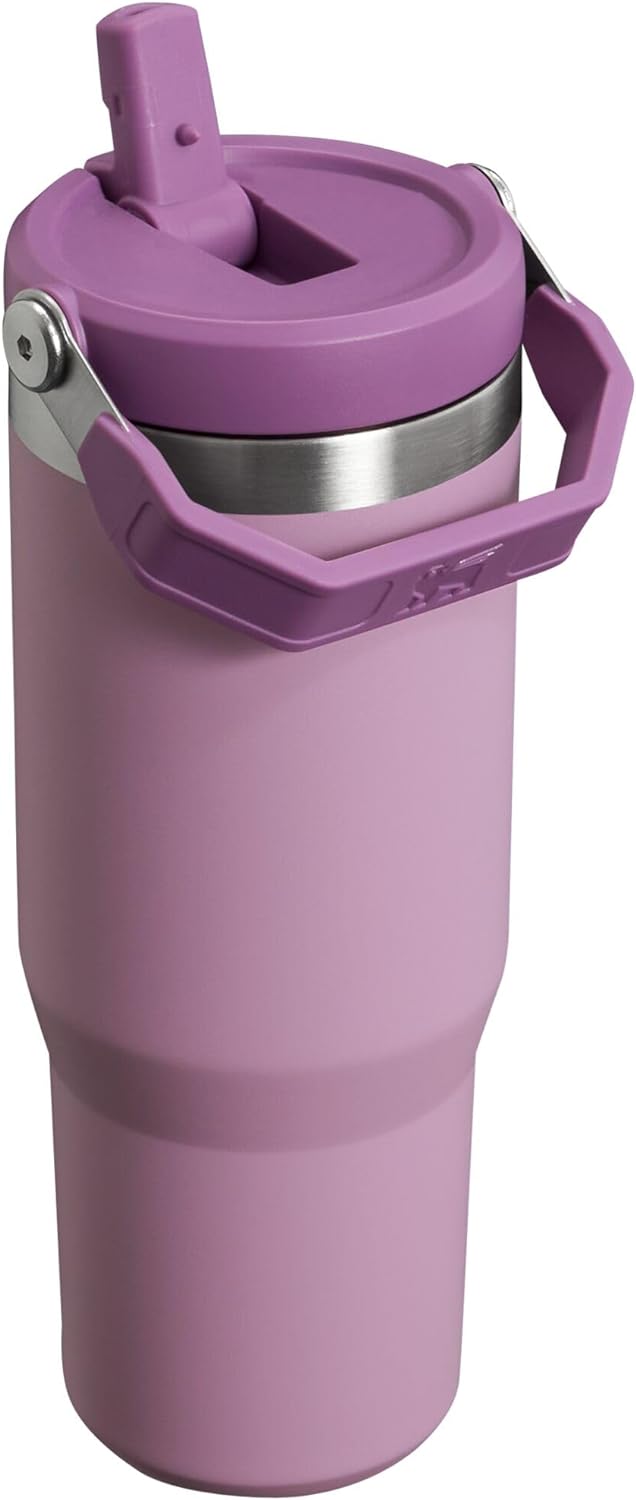 Stanley IceFlow Flip Straw Tumbler with Handle 30 oz | Twist 30 Ounces, Lilac